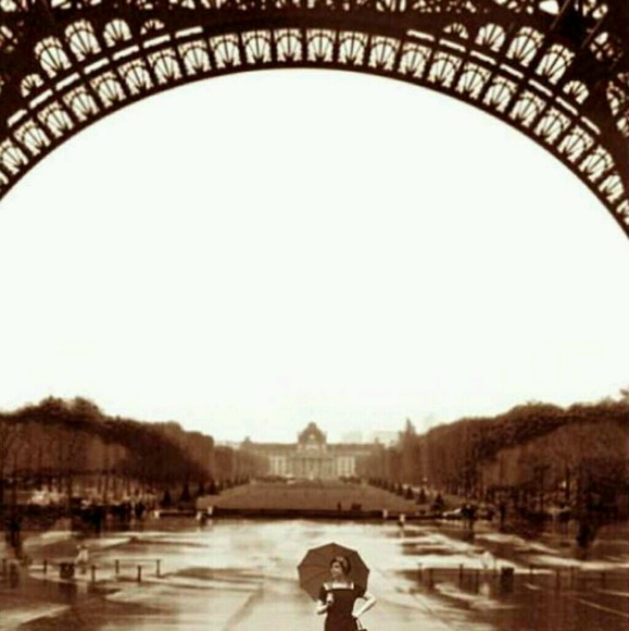 Meet your Posher, Tess - Picture 1 of 1